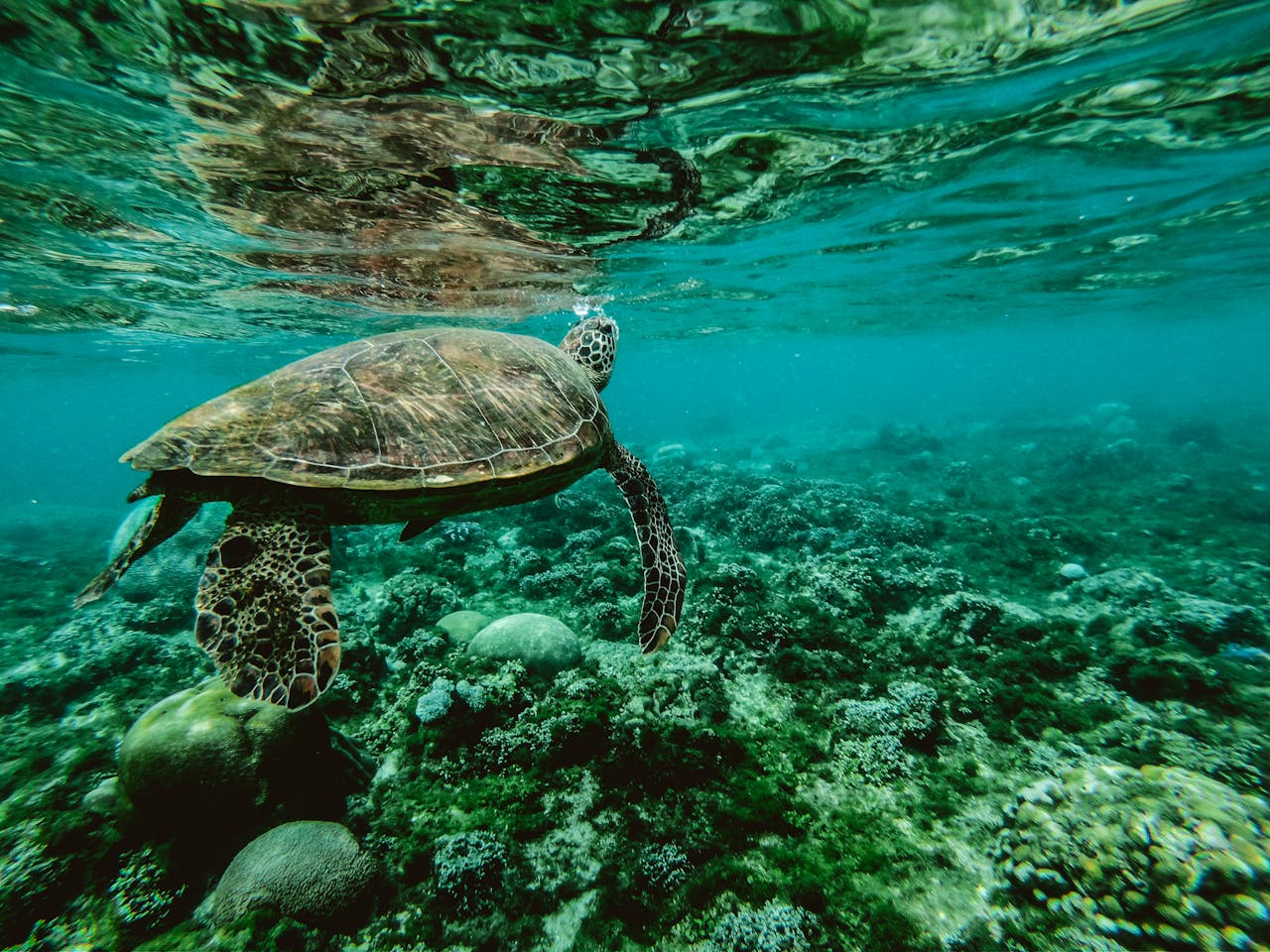 Respecting the Sea: Eco-Friendly Boating Tips for Travelers